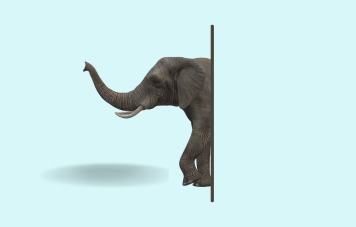 It’s Time to Talk About a Corporate Elephant