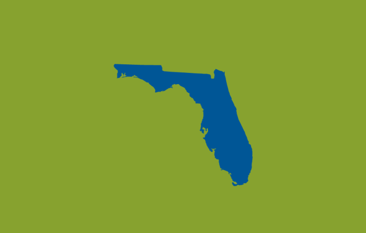 Florida Insurance Issues